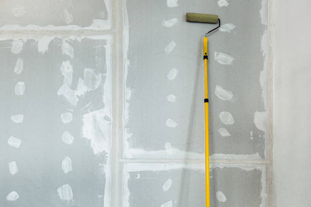 Best Mold Documentation for Insurance Claims  in Zion, IL
