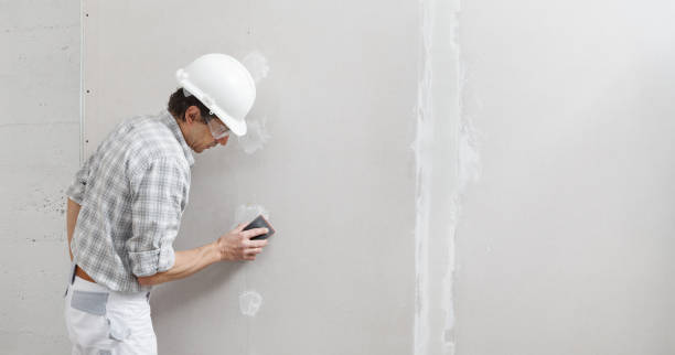 Best Asbestos and Lead Testing During Mold Inspection  in Zion, IL