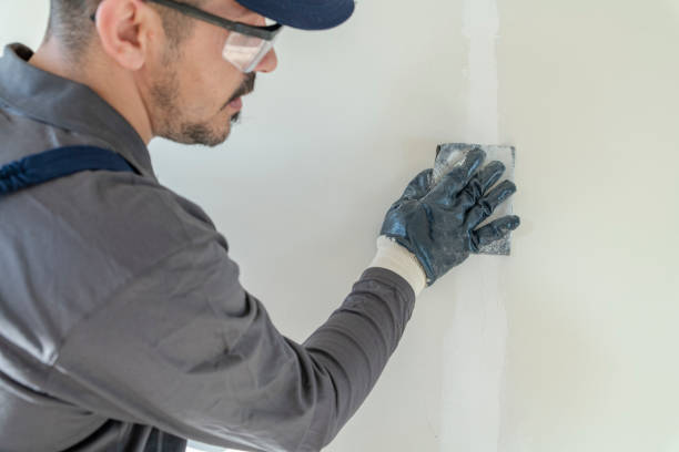  Zion, IL Mold Removal Pros